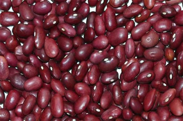 3 红豆 red beans.jpg