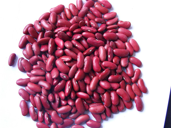 4 红豆 red beans.jpg