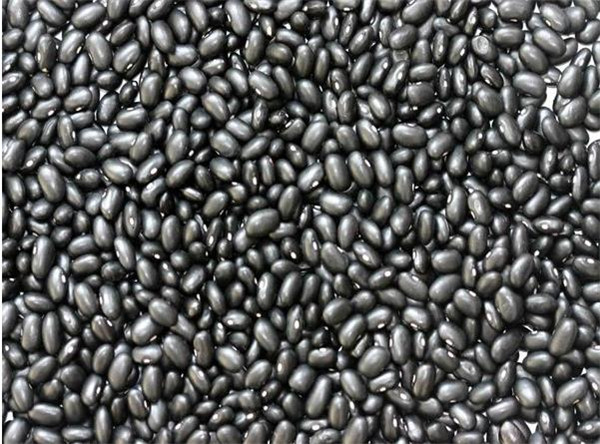 7 黑豆 black beans.jpg