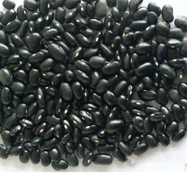 8 黑豆 black beans.jpg
