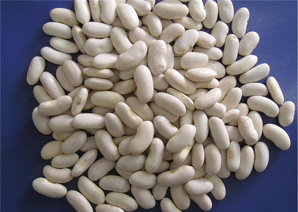 9 白豆 white beans.jpg