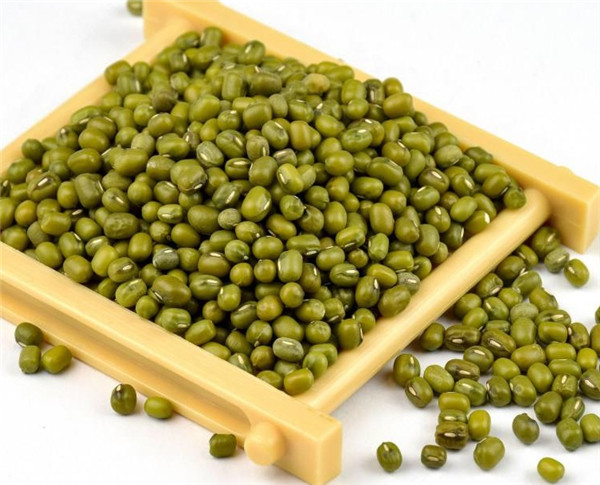 6 绿豆 green beans.jpg