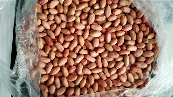 17 花生仁 peanut kernels.jpg