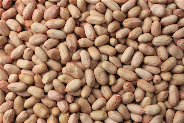 12 花生仁 peanut kernels.jpg