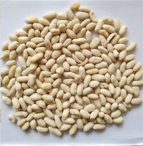 8 脱皮花生仁 blanched peanuts.jpg