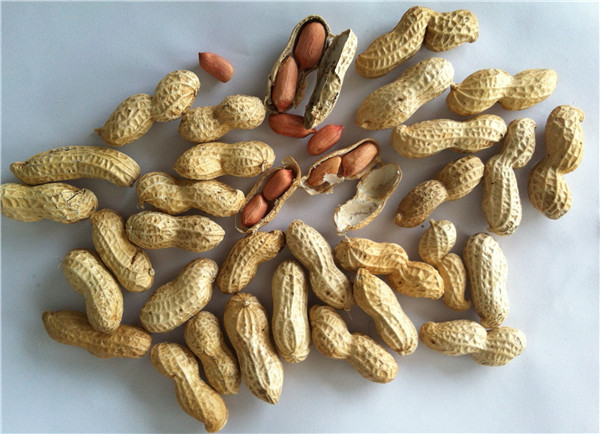 5 花生果 peanut inshell.jpg