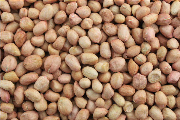 13 花生仁 peanut kernels.jpg