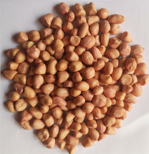 16 花生仁 peanut kernels.jpg