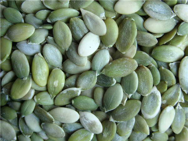 8 南瓜子 pumkin seed kernels.jpg