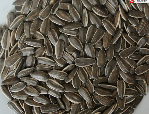 5 葵瓜子 sunflower seeds.png